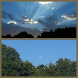 2016-07-19_10.46.42[1]